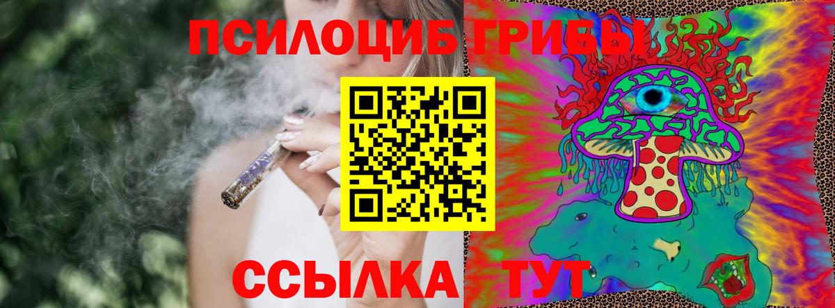 Псилоцибиновые грибы GOLDEN TEACHER  Вход с VPN  Псилоцибиновые грибы прущие грибы  Обь 